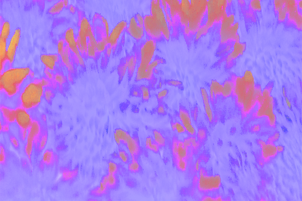 Border images / lines / design / pictures / background colors / background pictures