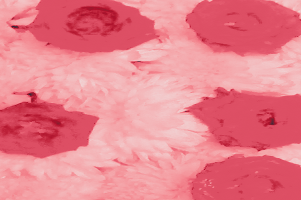 Border images / lines / design / pictures / background colors / background pictures