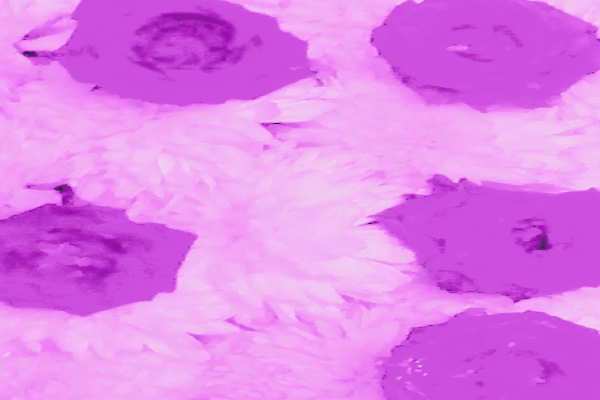 Border images / lines / design / pictures / background colors / background pictures