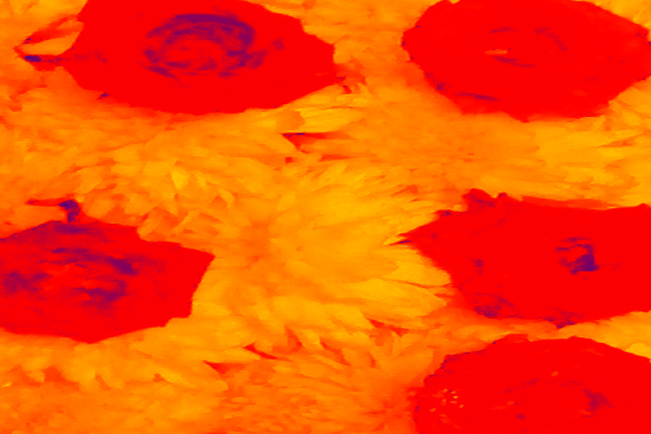 Border images / lines / design / pictures / background colors / background pictures