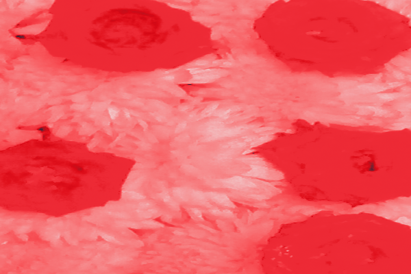 Border images / lines / design / pictures / background colors / background pictures