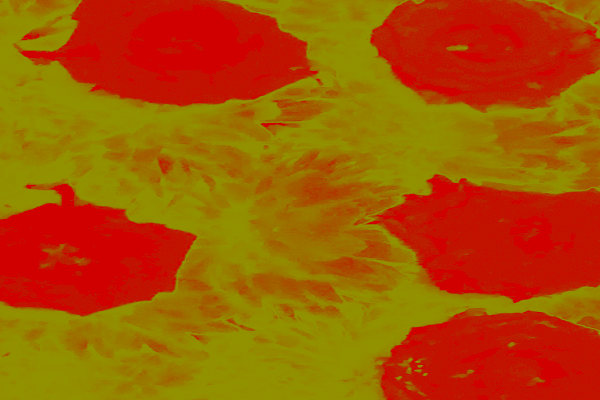 Border images / lines / design / pictures / background colors / background pictures