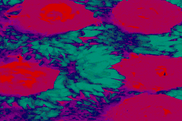 Border images / lines / design / pictures / background colors / background pictures