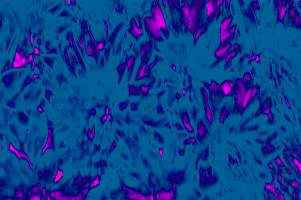 Border images / lines / design / pictures / background colors / background pictures