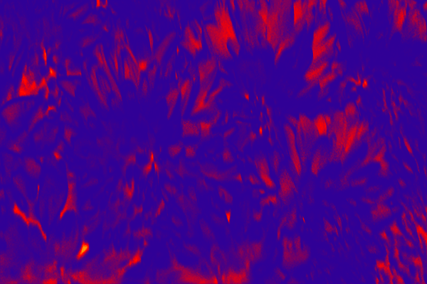 Border images / lines / design / pictures / background colors / background pictures