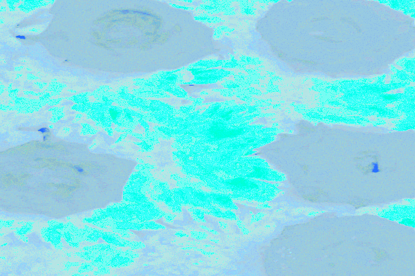 Border images / lines / design / pictures / background colors / background pictures