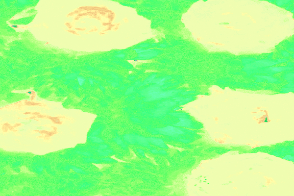 Border images / lines / design / pictures / background colors / background pictures