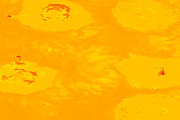 Border images / lines / design / pictures / background colors / background pictures