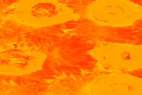 Border images / lines / design / pictures / background colors / background pictures