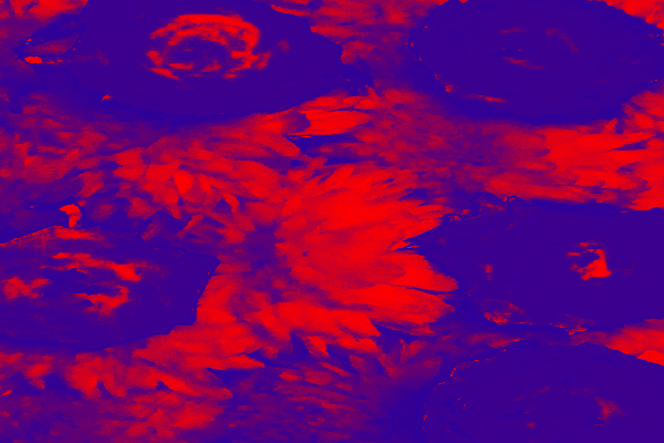 Border images / lines / design / pictures / background colors / background pictures