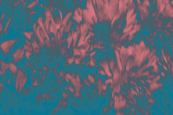 Border images / lines / design / pictures / background colors / background pictures