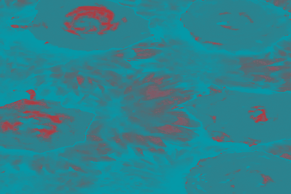 Border images / lines / design / pictures / background colors / background pictures