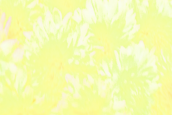 Border images / lines / design / pictures / background colors / background pictures