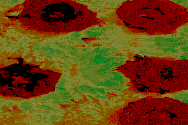 Border images / lines / design / pictures / background colors / background pictures