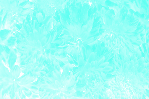 Border images / lines / design / pictures / background colors / background pictures