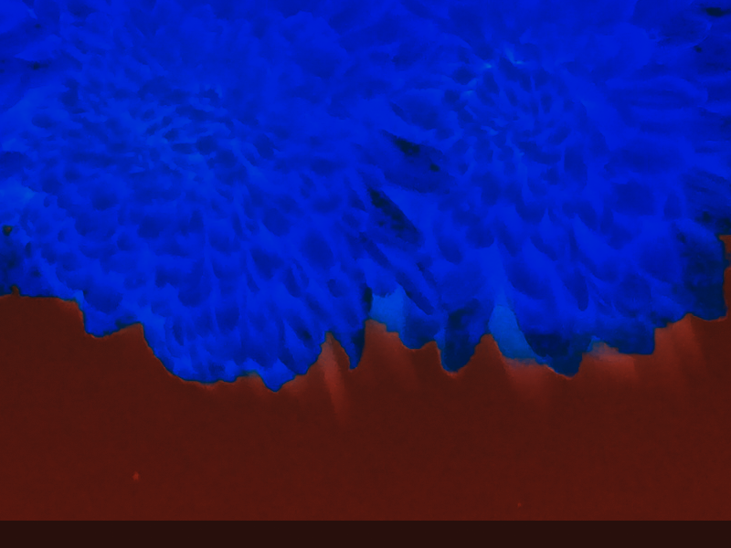 Border images / lines / design / pictures / background colors / background pictures