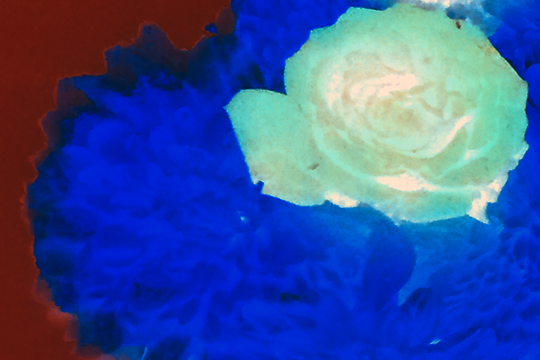 Border images / lines / design / pictures / background colors / background pictures