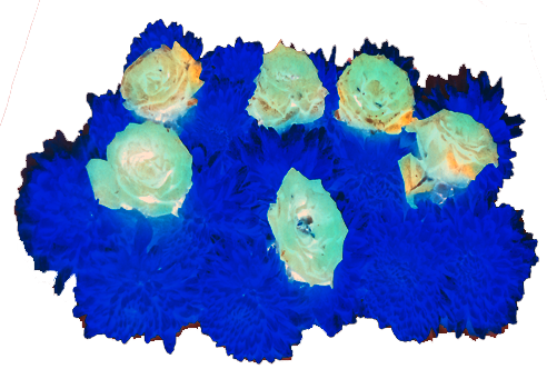 Border images / lines / design / pictures / background colors / background pictures