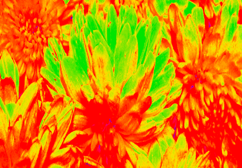 Border images / lines / design / pictures / background colors / background pictures