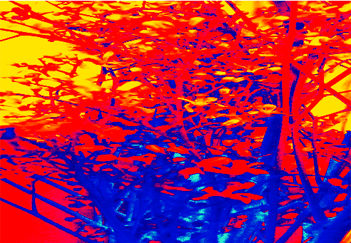 Border images / lines / design / pictures / background colors / background pictures