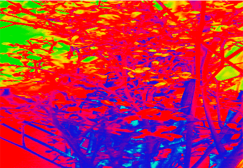 Border images / lines / design / pictures / background colors / background pictures