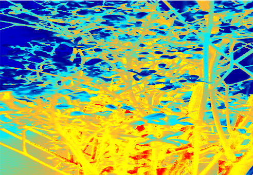 Border images / lines / design / pictures / background colors / background pictures