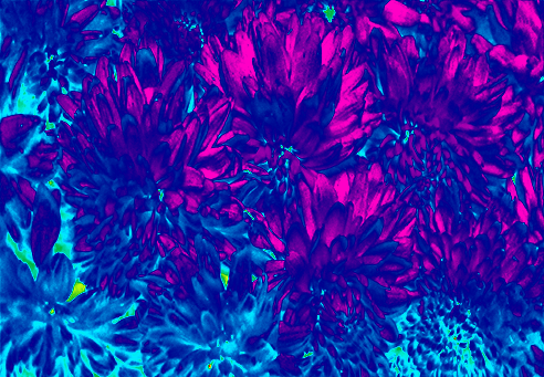 Border images / lines / design / pictures / background colors / background pictures