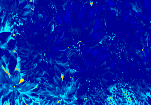 Border images / lines / design / pictures / background colors / background pictures