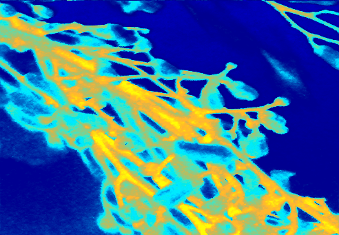 Border images / lines / design / pictures / background colors / background pictures