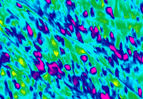 Border images / lines / design / pictures / background colors / background pictures