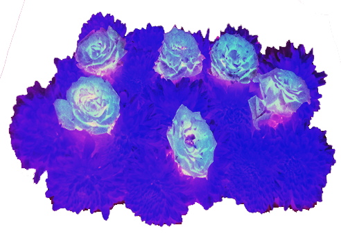 Border images / lines / design / pictures / background colors / background pictures