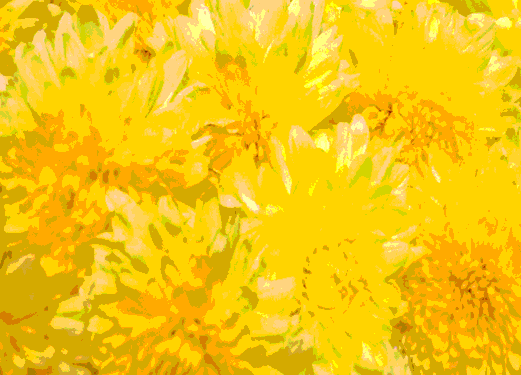 Border images / lines / design / pictures / background colors / background pictures