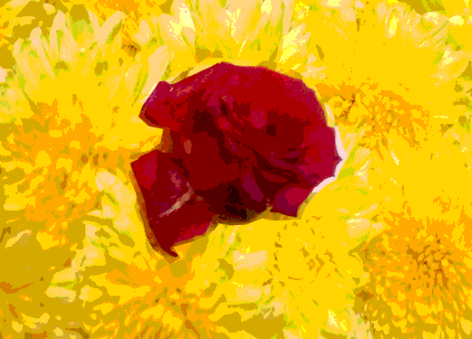 Border images / lines / design / pictures / background colors / background pictures