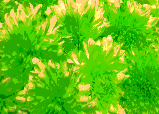 Border images / lines / design / pictures / background colors / background pictures