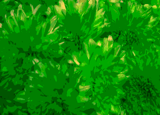 Border images / lines / design / pictures / background colors / background pictures