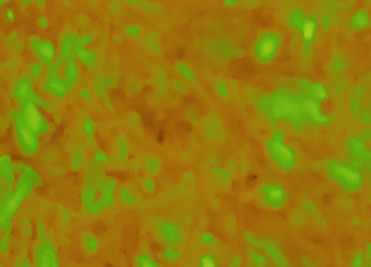 Border images / lines / design / pictures / background colors / background pictures