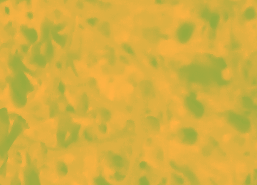 Border images / lines / design / pictures / background colors / background pictures