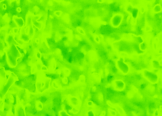 Border images / lines / design / pictures / background colors / background pictures