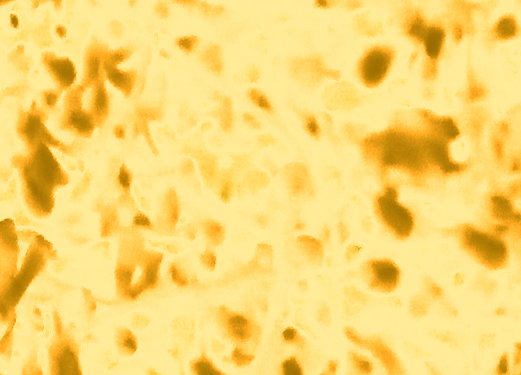 Border images / lines / design / pictures / background colors / background pictures