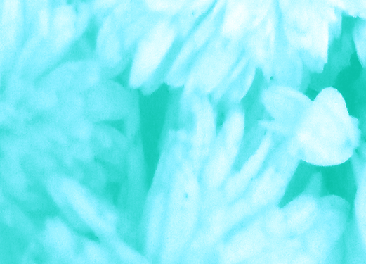 Border images / lines / design / pictures / background colors / background pictures