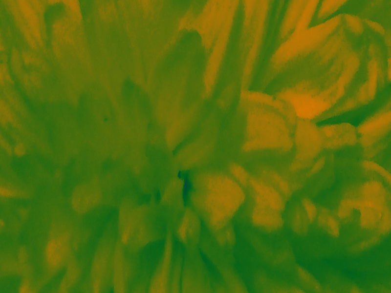 Border images / lines / design / pictures / background colors / background pictures