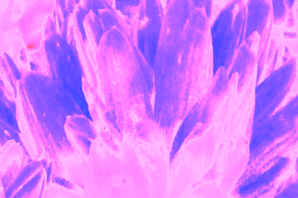 Border images / lines / design / pictures / background colors / background pictures