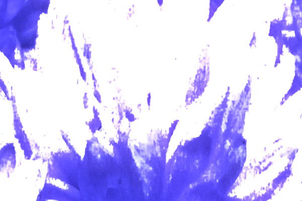 Border images / lines / design / pictures / background colors / background pictures