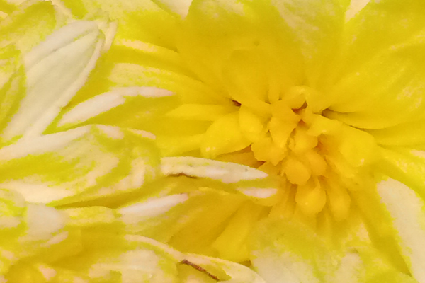 Border images / lines / design / pictures / background colors / background pictures