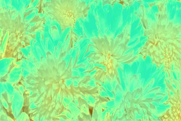 Border images / lines / design / pictures / background colors / background pictures