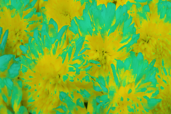 Border images / lines / design / pictures / background colors / background pictures