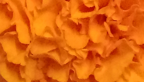 Border images / lines / design / pictures / background colors / background pictures