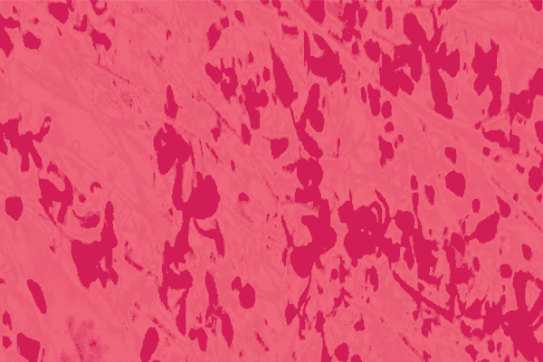 Border images / lines / design / pictures / background colors / background pictures