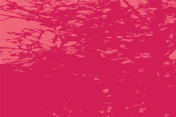 Border images / lines / design / pictures / background colors / background pictures