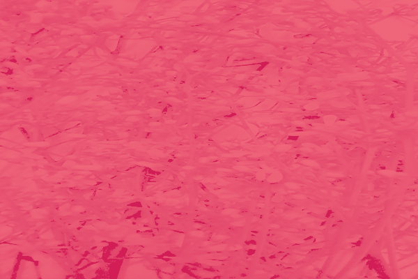 Border images / lines / design / pictures / background colors / background pictures